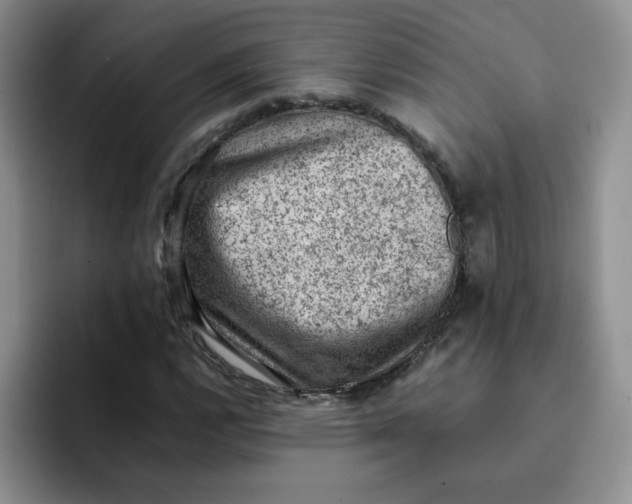 X0000091651112200709201121