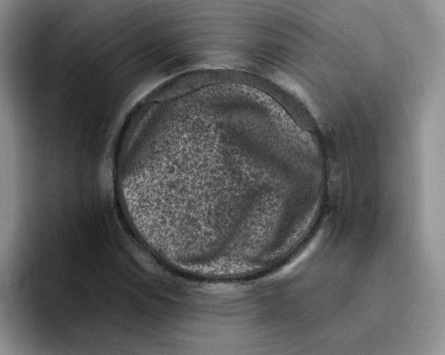 X0000091651114200709201121