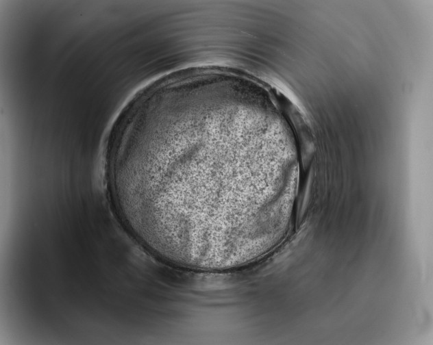 X0000091651116200709201121