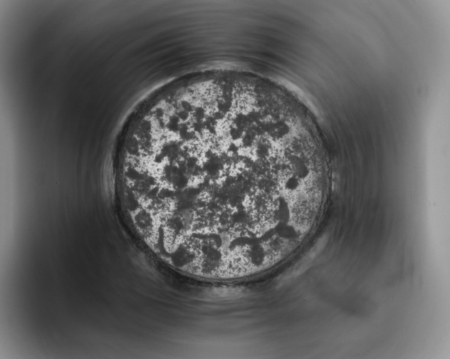 X0000091651117200709201121