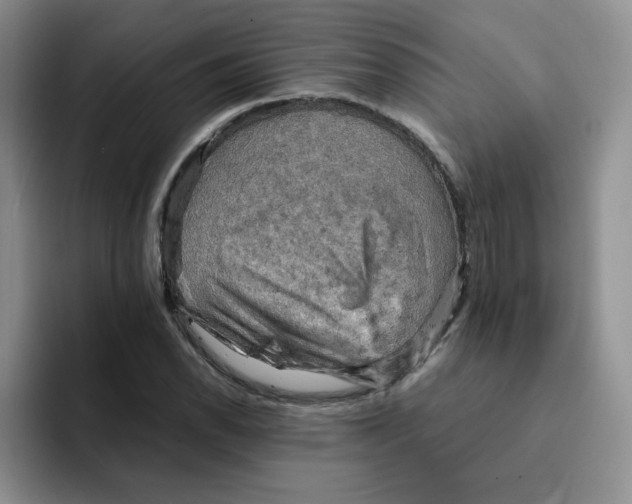 X0000091651118200709201121