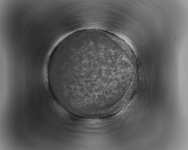 X0000091651120200709201121