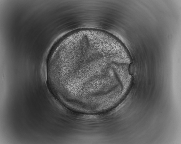 X0000091651123200709201121