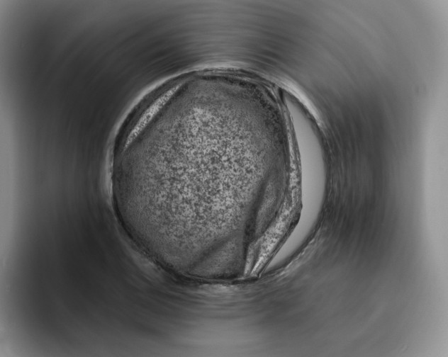 X0000091651124200709201121