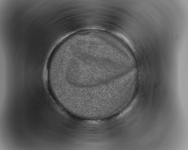 X0000091651125200709201121