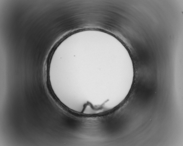 X0000091651126200709201121