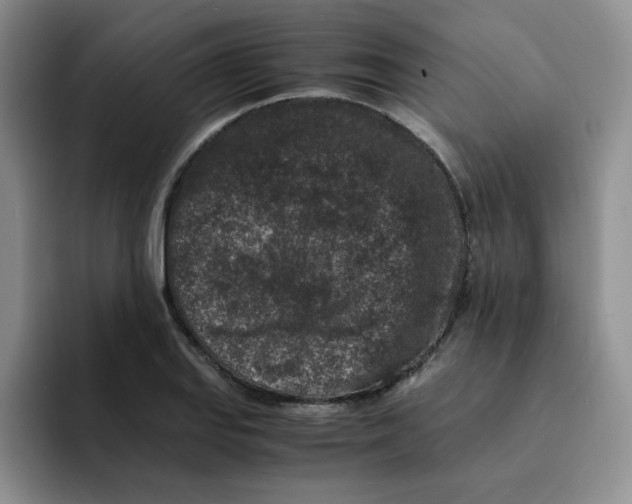 X0000091651127200709201121