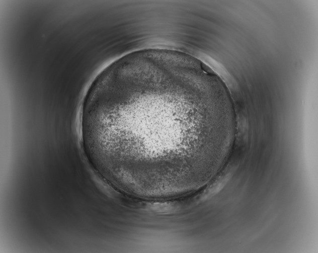 X0000091651128200709201121