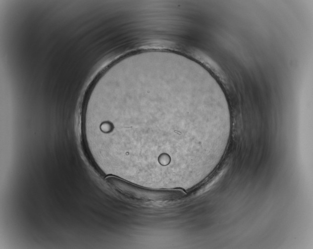 X0000091651130200709201121