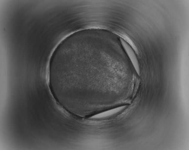 X0000091651132200709201121