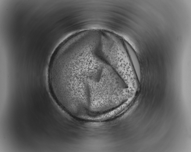 X0000091651134200709201121