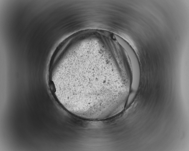 X0000091651136200709201121