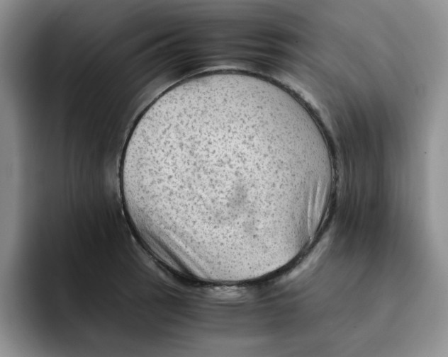 X0000091651137200709201121