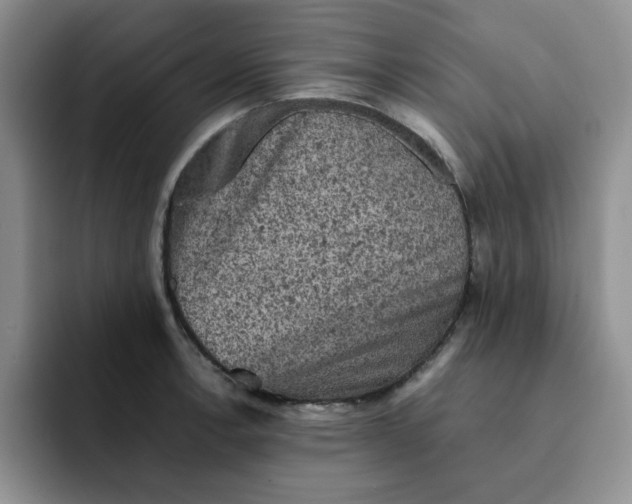 X0000091651138200709201121