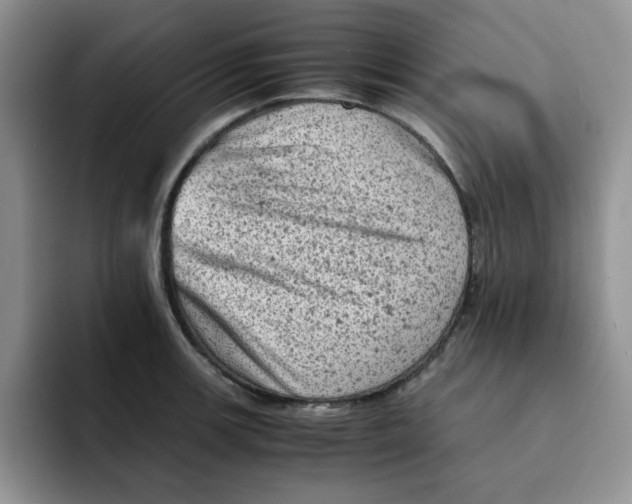 X0000091651139200709201121