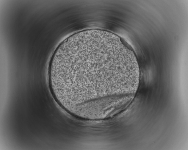 X0000091651143200709201121