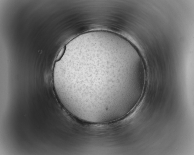 X0000091651145200709201121