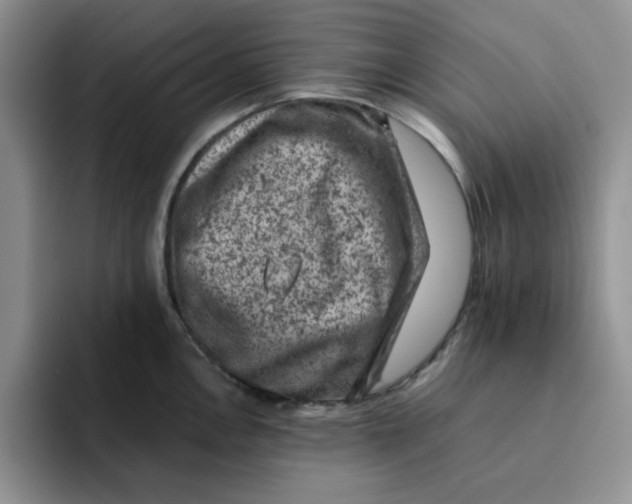 X0000091651146200709201121