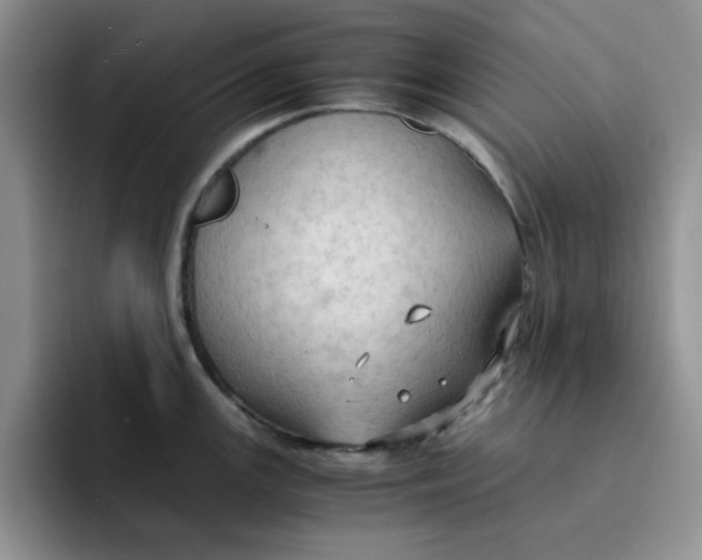 X0000091651147200709201121