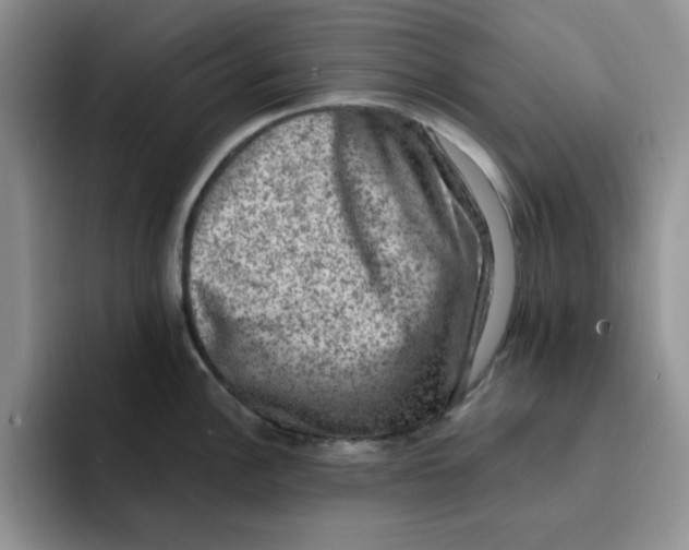 X0000091651148200709201121