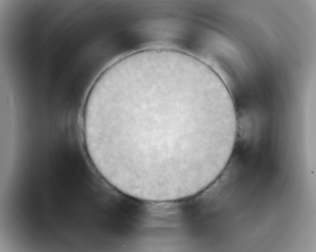 X0000091651150200709201121