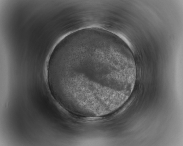 X0000091651151200709201121