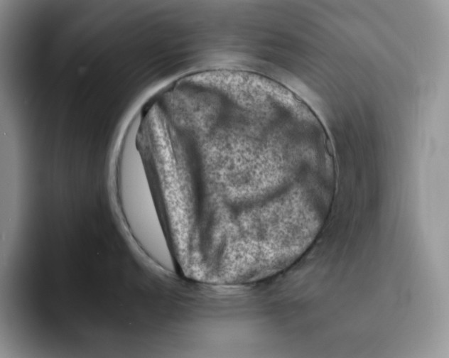 X0000091651152200709201121