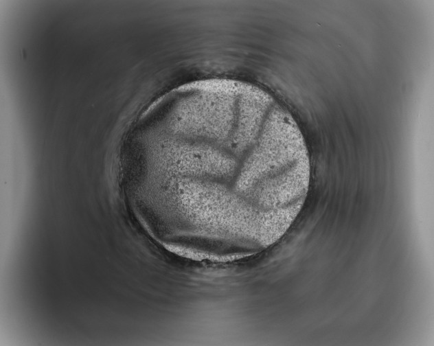 X0000091651153200709201121