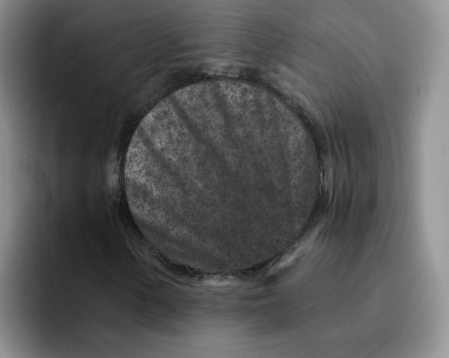 X0000091651154200709201121