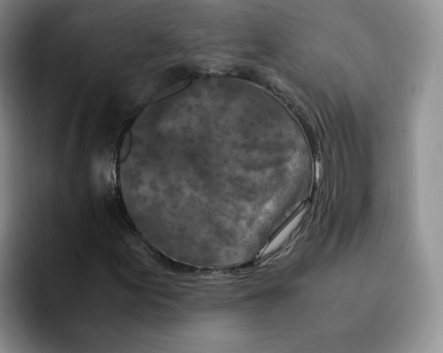 X0000091651155200709201121