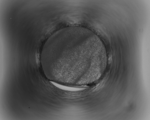 X0000091651156200709201121