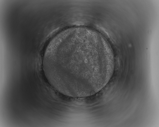 X0000091651158200709201121