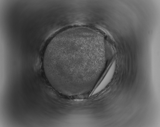 X0000091651160200709201121