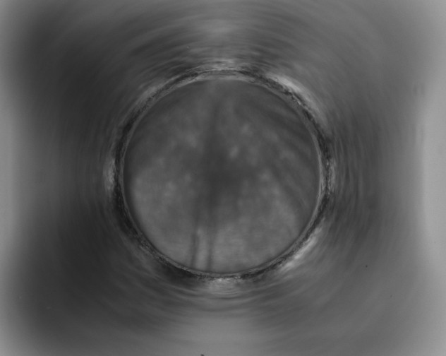 X0000091651161200709201121