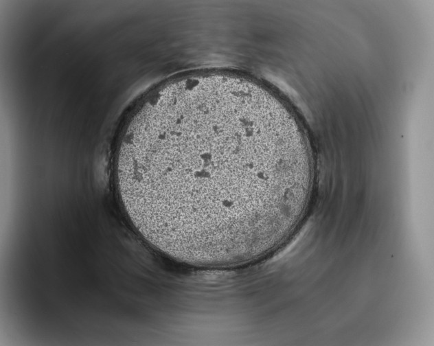 X0000091651163200709201121