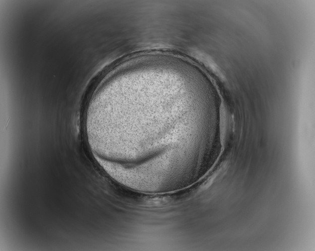 X0000091651165200709201121