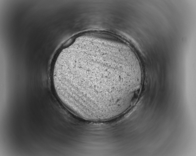 X0000091651168200709201121