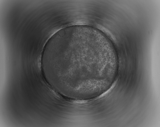 X0000091651170200709201121