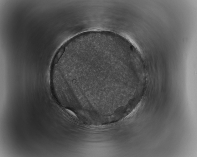 X0000091651173200709201121