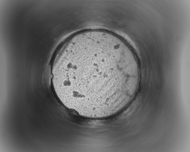 X0000091651175200709201121