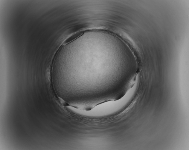 X0000091651177200709201121