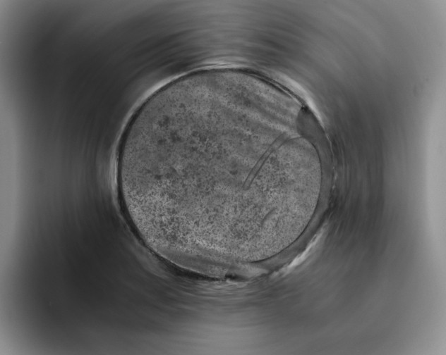 X0000091651179200709201121