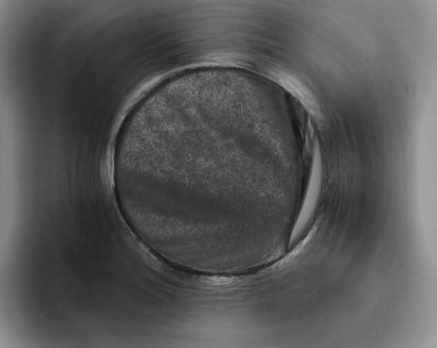 X0000091651180200709201121