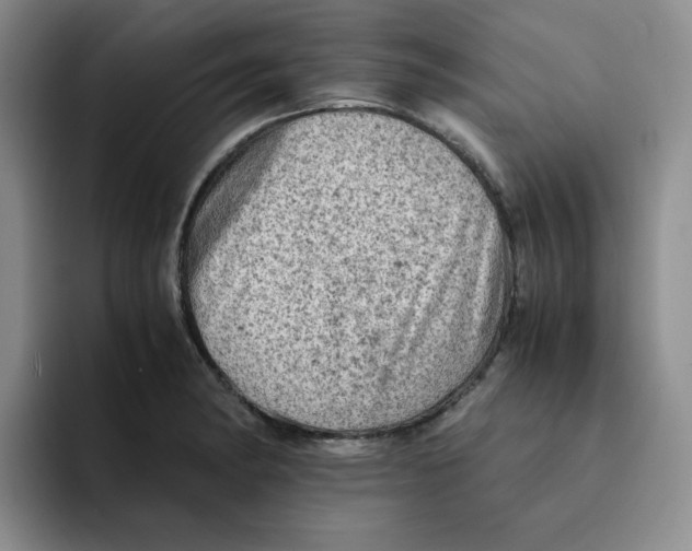 X0000091651182200709201121