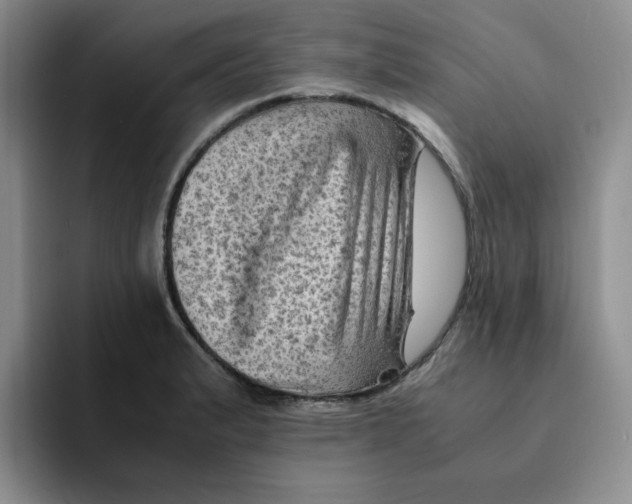 X0000091651183200709201121