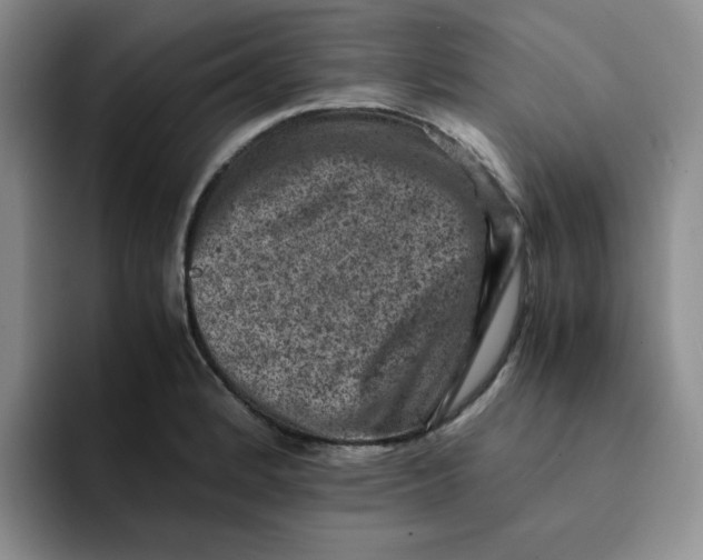 X0000091651184200709201121