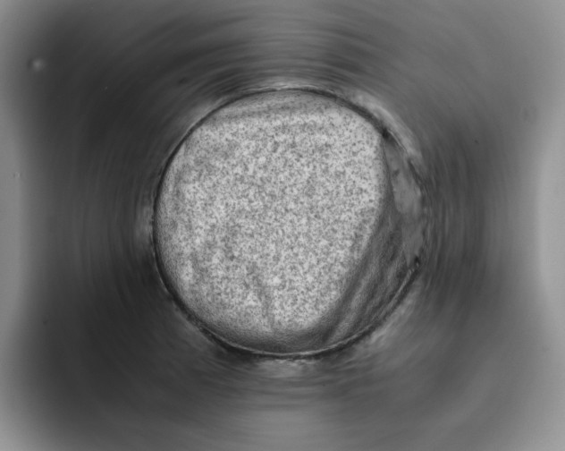 X0000091651185200709201121