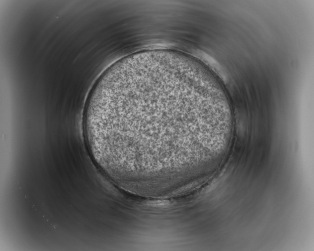 X0000091651186200709201120