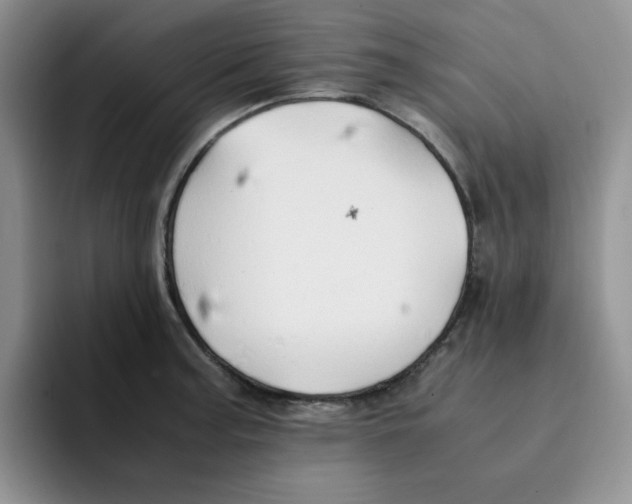 X0000091651187200709201120