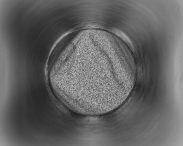 X0000091651190200709201120